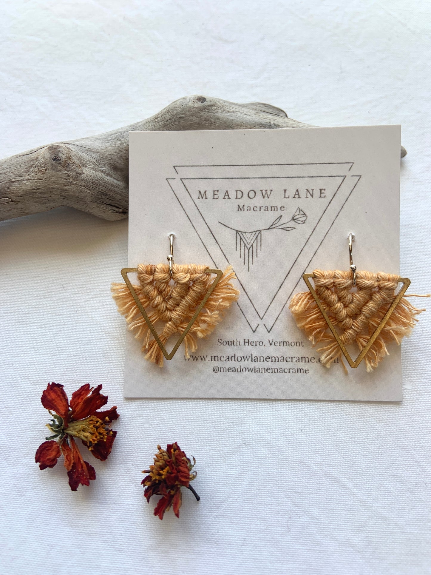 Small Triangle Earrings