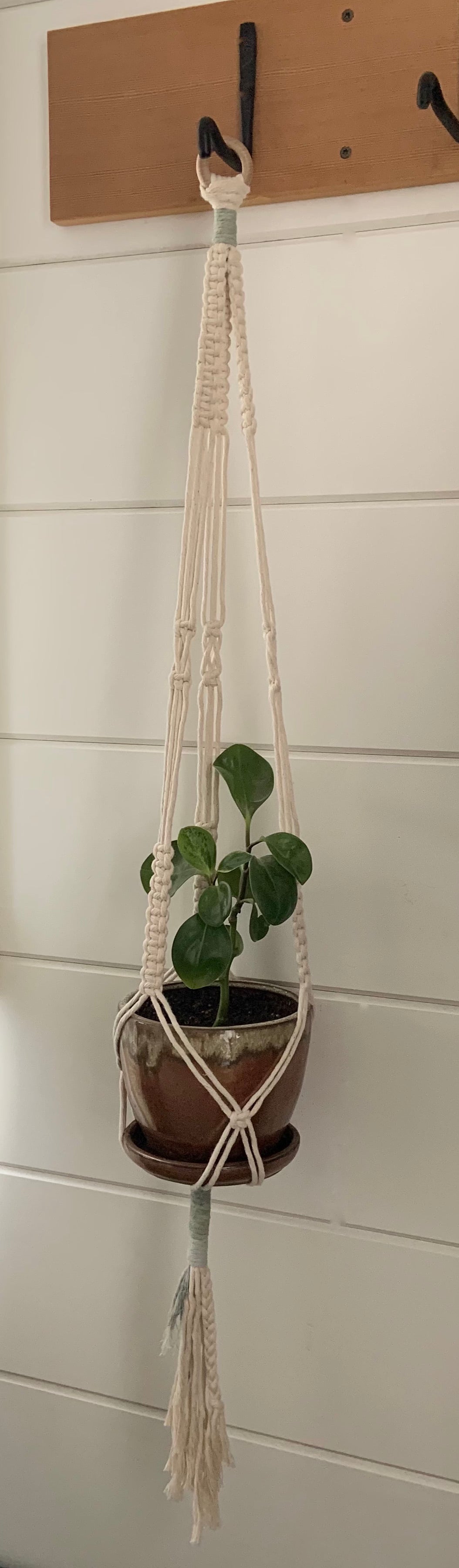 Plant Hanger - Winter