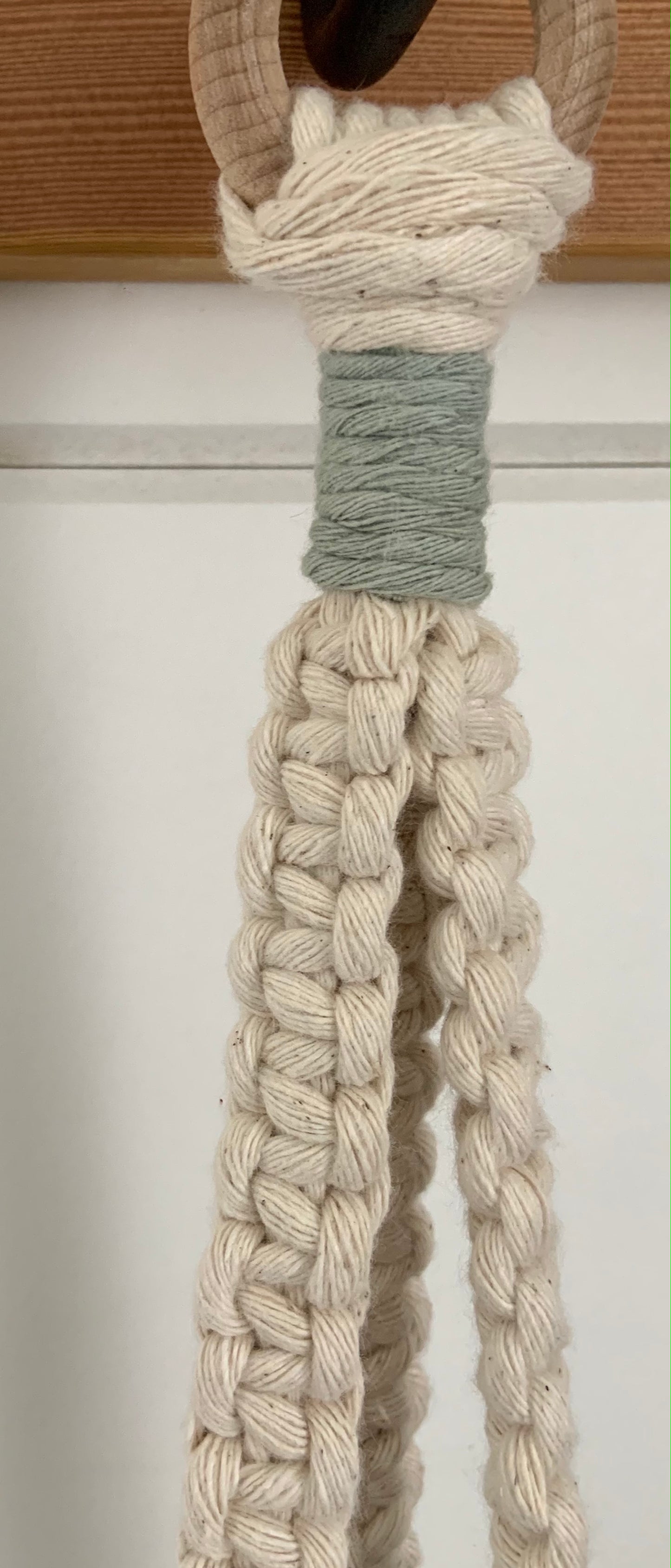 Plant Hanger - Winter