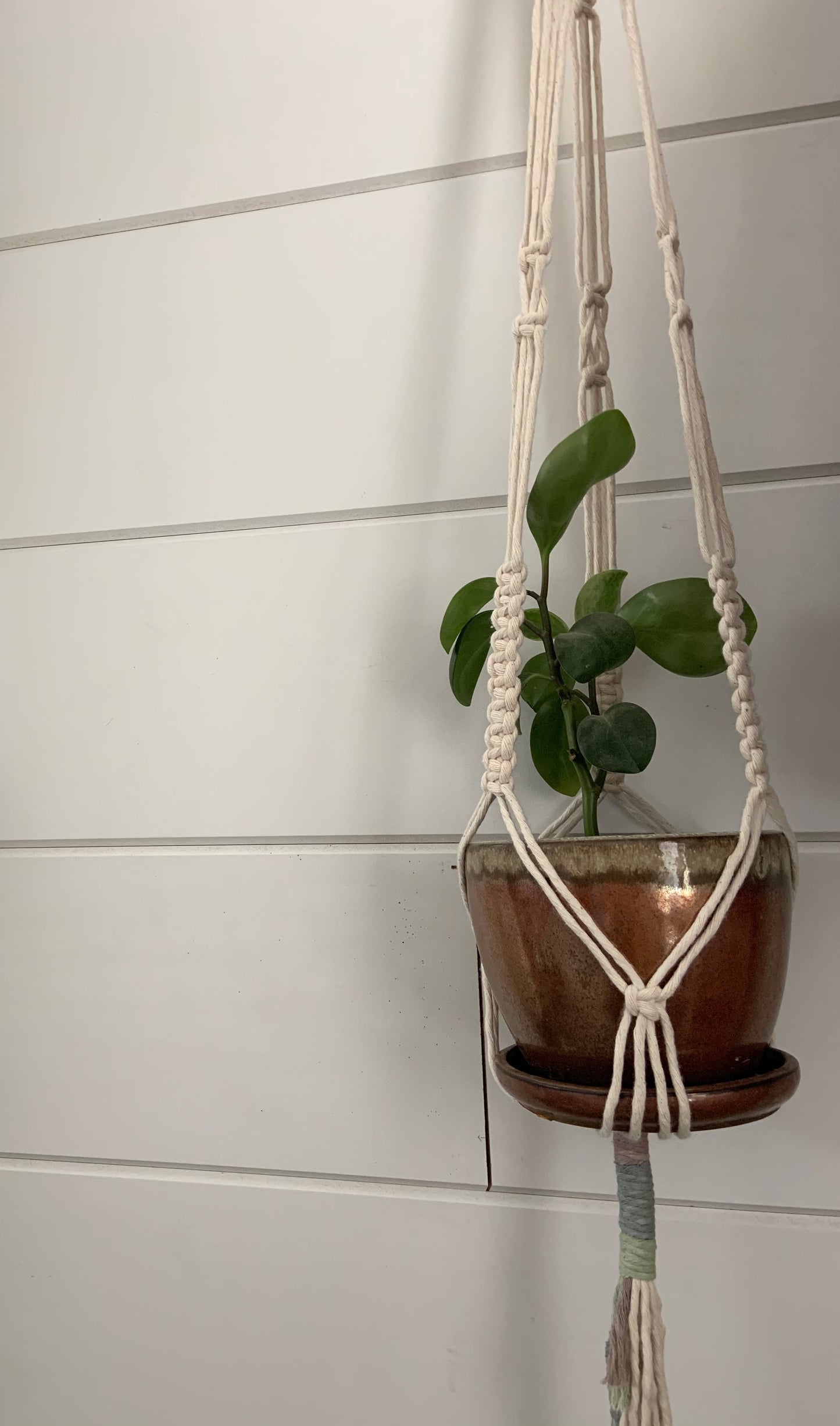 Plant Hanger - Cool